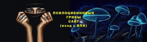 PSILOCYBIN Няндома