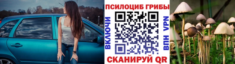 Галлюциногенные грибы мухоморы  это клад  Новороссийск 