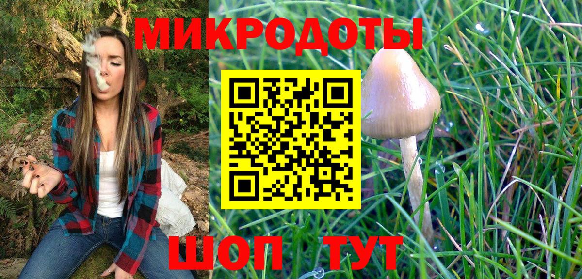 Новороссийск  Псилоцибиновые грибы MAGIC MUSHROOMS  Галлюциногенные грибы Magic Shrooms  Вход с VPN 