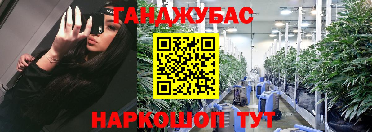 Бошки Шишки конопля Новороссийск